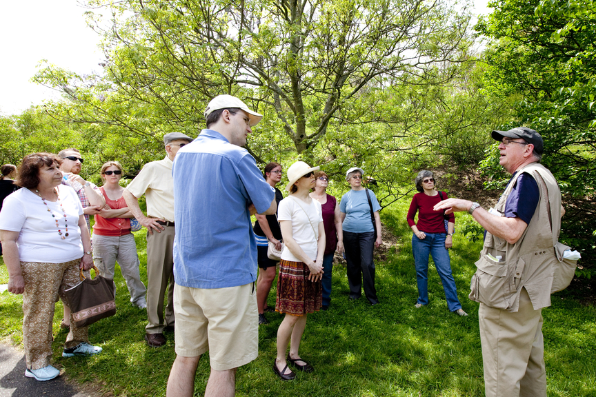 a guide giving a tour in the arboretum